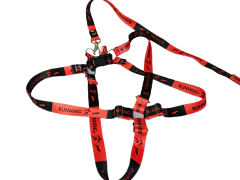 Conjunto Peitoral e Guia Ajustável RBPet - Cães de Grande Porte - WR Mello Distribuidora