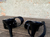 Slingback Vintage