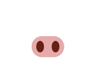 Hypig