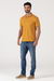 Camiseta gola polo na internet