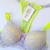 Conjunto Paty