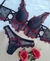 Conjunto Helena