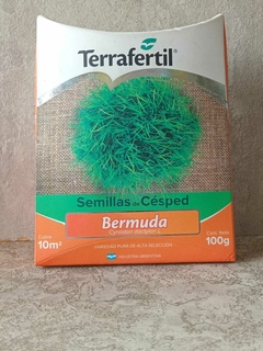 TERRAFERTIL SEMILLAS DE CESPED BERMUDA 100GRS - comprar online