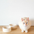 Comedero Canela & natural - tienda online