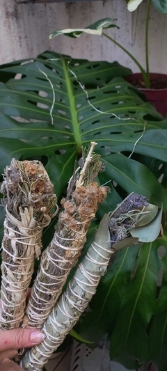 Sahumos naturales en internet