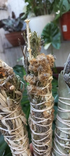 Sahumos naturales - Magia y botánica