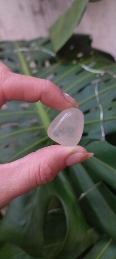 Cristales en internet