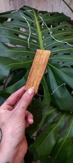 Palo santo en rama
