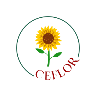 Ceflor
