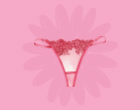 Categoria 6