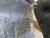 Shorts Strass na internet