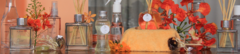 Banner da categoria Clean