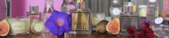Banner da categoria Flor de Figo