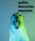 Banner de Bullce Pet