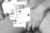 Ricardo Ayres - comprar online