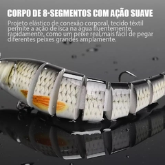 Imagem do Isca para pesca , peixe!.