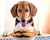 Banner de Bichim Pet Food