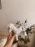 Animales de granja en internet