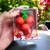 Borracha Escolar Cereja Infantil Desmontável Fruit Party QH-8445 (BORRQH8445) - ANALUSHOP.COM.BR