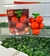 Borracha Escolar Cereja Infantil Desmontável Fruit Party QH-8445 (BORRQH8445) on internet