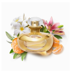 Lily Eau de Parfum Nova Versão 30ml - comprar online