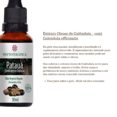 Óleo Vegetal de Patauá - 30ml Óleo Vegetal de Patauá - 30ml - comprar online