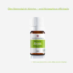 Óleo Essencial de Alecrim - 10ml Rosmarinus officinalis - comprar online