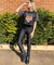 Cropped paetê - comprar online