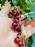 Banner de Rosalinda Cafés Especiais
