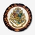 Almofada Harry Potter redonda 35x26