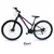 Bicicleta Zeus Dama en internet