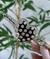 Bracelete coração cristais - comprar online