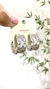 Argola Escudo M - comprar online