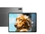 Tablet Lenovo Tab P12 Pró na internet