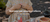 Imagem do banner rotativo Little Hands and Nature