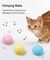 Bola Interativa Catnip - Gatos - loja online