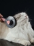 Imagem do Kimpets Cat Pente Removedor de Pêlos de Cão Escova Higiênica para Animais de