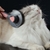 Imagem do Kimpets Cat Pente Removedor de Pêlos de Cão Escova Higiênica para Animais de