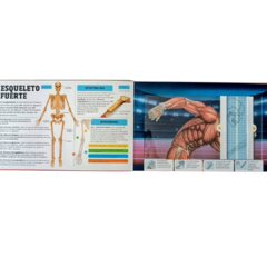 ESCANORAMA CUERPO HUMANO