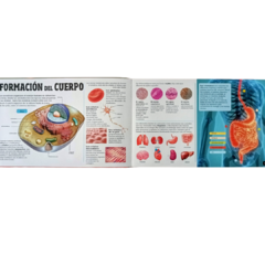 Imagen de ESCANORAMA CUERPO HUMANO