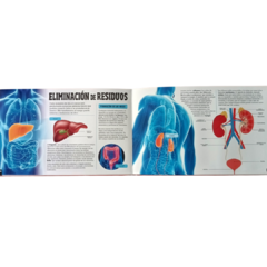 ESCANORAMA CUERPO HUMANO - tienda online
