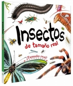 insectos