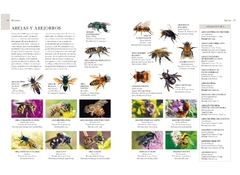 ENCICLOPEDIA ILUSTRADA - MICRO ANIMALES en internet