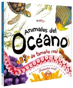 animales del oceano 