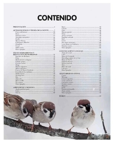 REINO ANIMAL INTELIGENTE - RINCON DE LIBROS