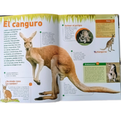 EL GRAN SAFARI ILUSTRADO