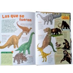 EL GRAN SAFARI ILUSTRADO - RINCON DE LIBROS