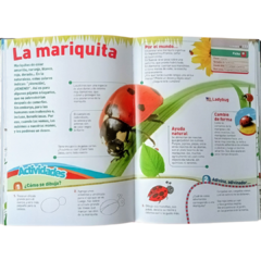 EL GRAN SAFARI ILUSTRADO en internet