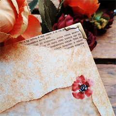 Planner Literário - comprar online