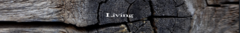 Banner de la categoría LIVING